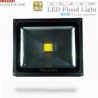 LED投光器30w通常型昼白色